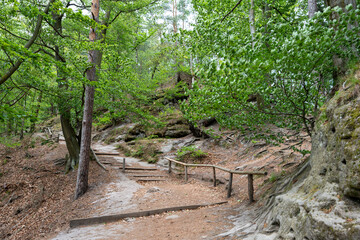 A wooded area with a path leading up to a rock. The path is lined with trees and there is a bench along the way
