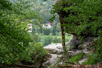 A view of a forest with a house in the distance. The trees are lush and green, and the sky is clear. Scene is peaceful and serene, with the natural beauty of the forest providing a sense of calm