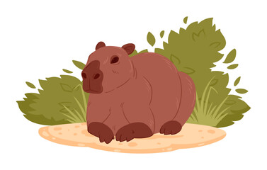Cartoon cute capybara. Wild mammal in natural habitat, semi-aquatic capybara animal flat vector illustration. Relaxing capybara