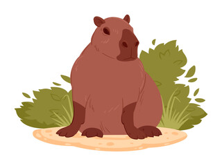 Cartoon wild capybara. Cute capybara mammal in natural habitat flat vector illustration. Semi-aquatic capybara animal