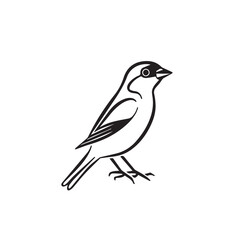 Sparrow in cartoon, doodle style. Image for t-shirt, web, mobile apps and ui. Isolated 2d vector illustration in logo, icon, sketch style, Eps 10. AI Generative