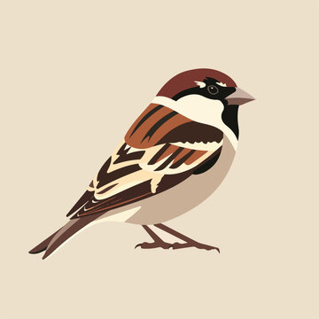 recommend clip art: Sparrow in cartoon, doodle style. Image for t-shirt, web, mobile apps and ui. Isolated 2d vector illustration in logo, icon, sketch style, Eps 10. AI Generative