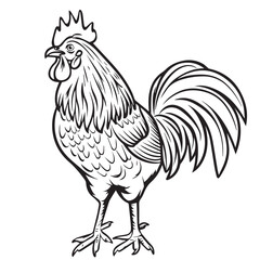 Rooster in cartoon, doodle style. Image for t-shirt, web, mobile apps and ui. Isolated 2d vector illustration in logo, icon, sketch style, Eps 10. AI Generative