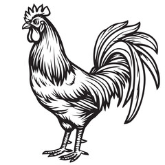 Rooster in cartoon, doodle style. Image for t-shirt, web, mobile apps and ui. Isolated 2d vector illustration in logo, icon, sketch style, Eps 10. AI Generative