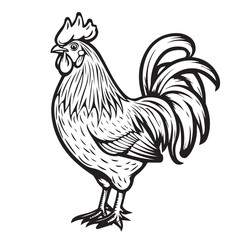 Rooster in cartoon, doodle style. Image for t-shirt, web, mobile apps and ui. Isolated 2d vector illustration in logo, icon, sketch style, Eps 10. AI Generative