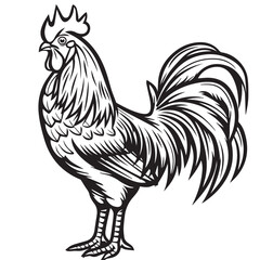 Rooster in cartoon, doodle style. Image for t-shirt, web, mobile apps and ui. Isolated 2d vector illustration in logo, icon, sketch style, Eps 10. AI Generative