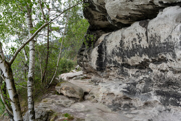 A rocky hillside with a tree in the foreground. The tree is bare and the hillside is covered in rocks