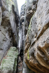 A narrow canyon with a large rock wall on either side. The wall is covered in moss and the ground is covered in dirt