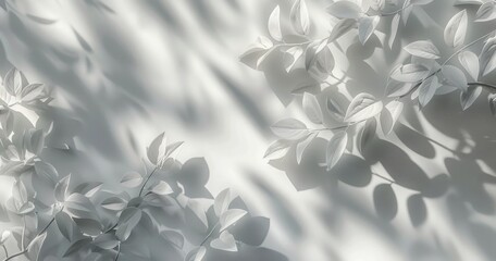 White Wall Adorned With White Leaves and Shadows