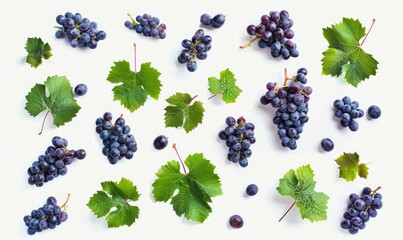 an arrangement of some grapes leaves