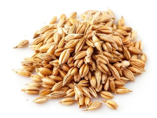 Barley isolated on white background