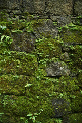 green moss on stone