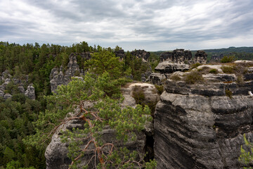 A rocky mountain range with a few trees in the foreground. The sky is cloudy and the overall mood of the image is serene and peaceful