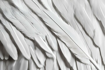 A close-up photo of the delicate structure of a white feather, Macro shot white feather