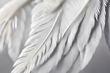 Naklejka premium A close-up photo of the delicate structure of a white feather, Macro shot white feather