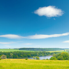 Fototapeta premium Bright summer pasture with fresh grass