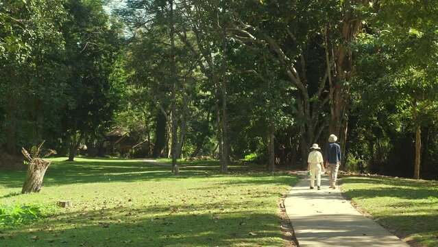Elderly couple walking peacefully down tree-lined path in lush park on sunny day. Green foliage and serene surroundings highlight beauty of nature.