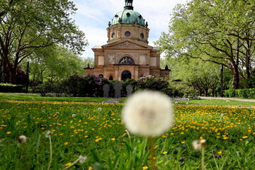 Hauptfriedhof in Freiburg im Frühling