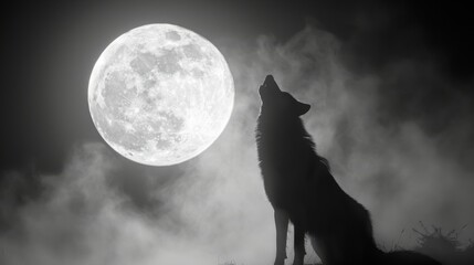 Silhouetted wolf howling at the full moon