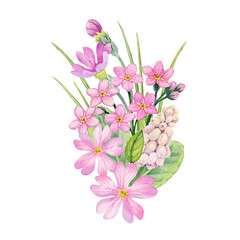 Watercolor painting spring flower arrangement forget me not flowers and pink primroses. Floral composition can be use as print, poster, postcard, invitation, greeting card, packaging design, label.