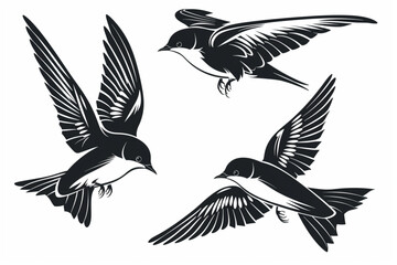 Obraz premium Set of swallows birds in flight set vector icon, white background, black colour icon