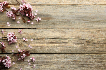 Spring branches with beautiful blossoms and leaves on wooden table, flat lay. Space for text