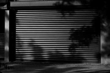 The Enchanting Play of Tree Shadows on Garage Doors. A Study of Natural Patterns and Aesthetic...