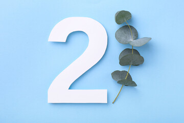Paper number 2 and eucalyptus branch on light blue background, top view