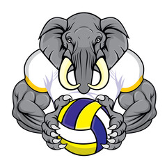 volleyball mascot elephant vector illustration design