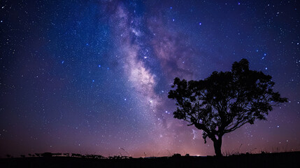 milky way night sky. A mesmerizing view of the Milky Way galaxy stretching across the night sky with a silhouetted tree in the foreground..