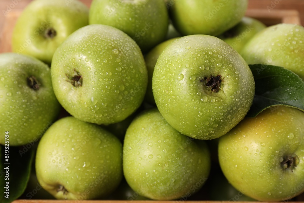 Sticker fresh ripe green apples with water drops, closeup