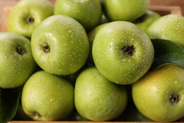 Fresh ripe green apples with water drops, closeup