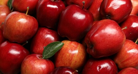 Fresh ripe red apples with leaves as background, closeup