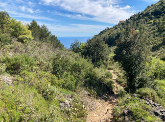 Ausblick auf die blaue Côte d'Azur bei Eze aufs weite Mittelmeer 