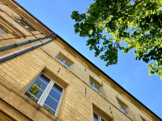 Fassaden und Bäume in der Altstadt von Aix-en-Provence am Cours Mirabeau