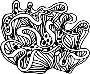 Different types of sea corals and seaweed. Sea style. Underwater life. Vector art doodles illustration 
