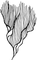 Different types of sea corals and seaweed. Sea style. Underwater life. Vector art doodles illustration 