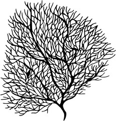 Different types of sea corals and seaweed. Sea style. Underwater life. Vector art doodles illustration 