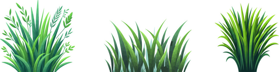 Fototapeta premium Green grass vector elements. Bunch of spring grass with flowers. Realistic meadow . Green field. Spring botanical elements . Tufts of gardens plants .Lawn grass. Spikelet