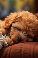 sleepy cute brown puppy  Generative AI
