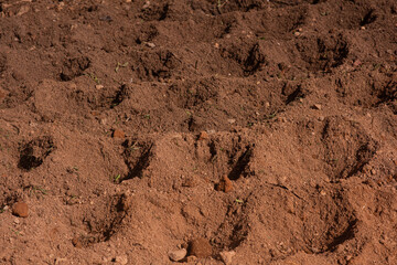 Earth home garden molds ready for the planting season and the rains