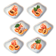 Set of labels with compositions from bright orange sunny apricots. Watercolor illustration for design templates of sweet harvest, summer fruits, juices, canned food, marmalade and sweets