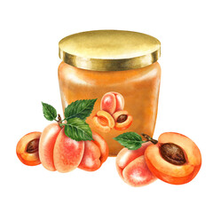 Glass jars sealed with gold, silver, bronze lids contain apricot jam. Watercolor illustration for template design of sweet harvest, summer fruits, juices, canned food, marmalade and sweets
