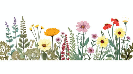 Wild flower border. Botanical banner with field flo