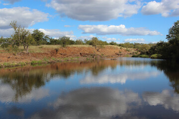 Afrikanischer Busch - Krügerpark - Gudzani River / African Bush - Kruger Park - Gudzani River /