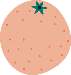 Orange Fresh Fruit