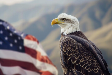 Bald Eagle, America, Memorial Day, 4th of July.