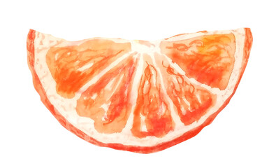 Mandarin fruit slice watercolor hand drawn element close up. Orange fresh piece isolated on white. Vibrant juicy ripe citrus fruit.