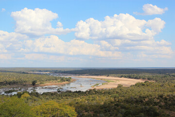 Fototapeta na wymiar Afrikanischer Busch - Krügerpark - Olifants River / African Bush - Kruger Park - Olifants River /