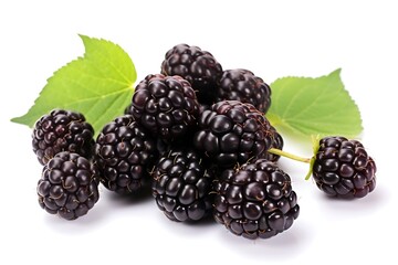 Blackberry isolated on white background